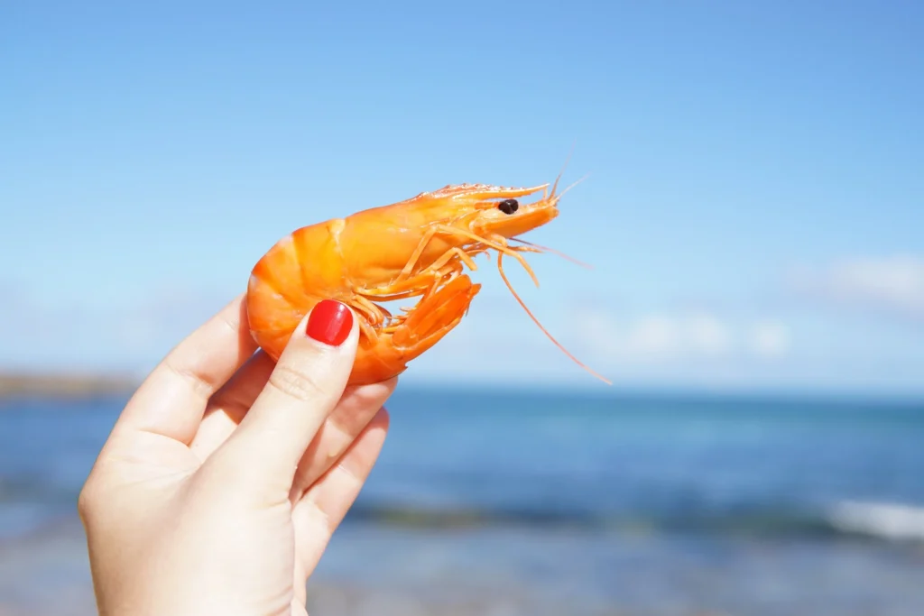 What Is the Nutritional Value of Shrimp?